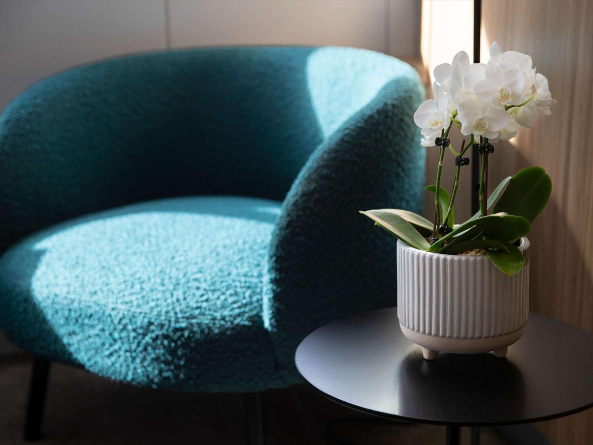 Novotel Sydney City Centre Экстерьер фото